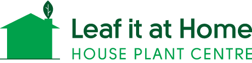 Leaf it at Home, House Plants Centre – Newcastle Upon Tyne-House Plant Centre