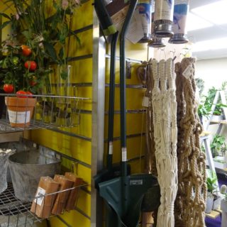 bulb-planter-tool-newcastle-uk