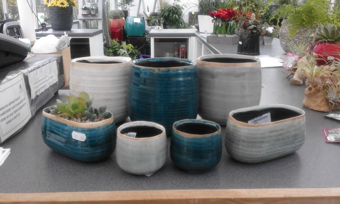 plant-pots-for-sale-newcastle