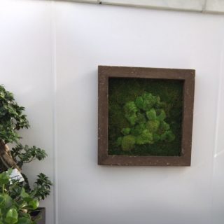 buy-moss-wall-pictures-newcastle-upon-tyne