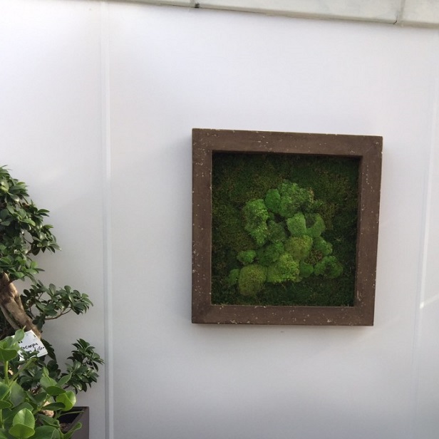 Moss Wall Pictures, Leaf it at Home