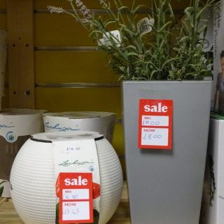 lechuza-pots-sale-newcastle-upon-tyne